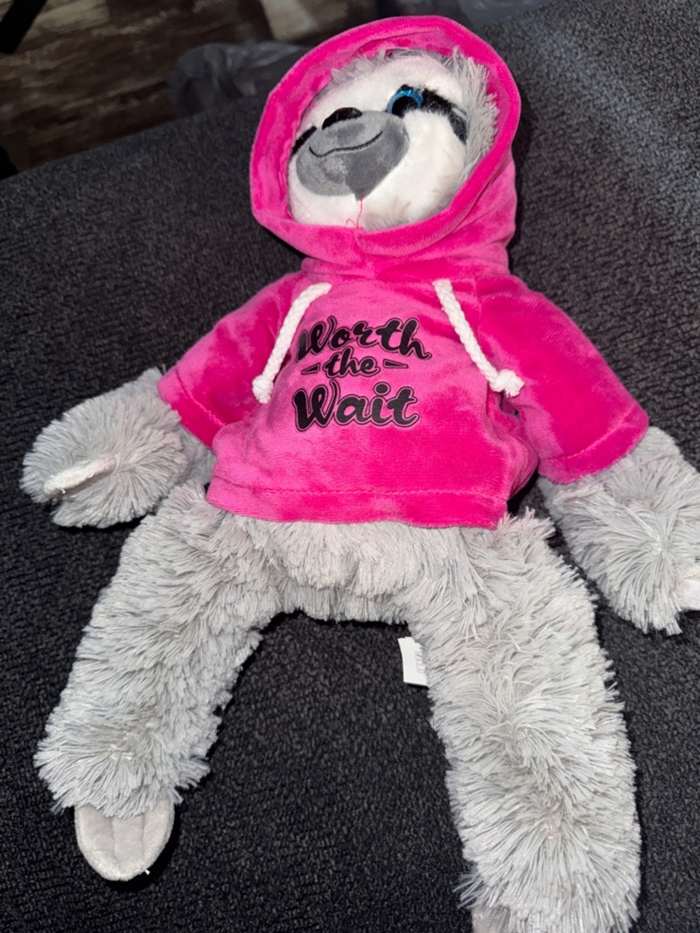 Pink "Worth the Wait" Plush Sloth Hoodie